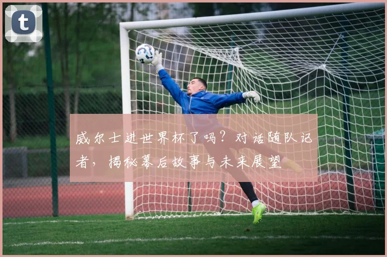 威尔士进世界杯了吗？对话随队记者，揭秘幕后故事与未来展望