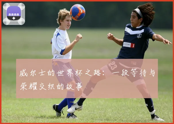 威尔士的世界杯之路：一段等待与荣耀交织的故事