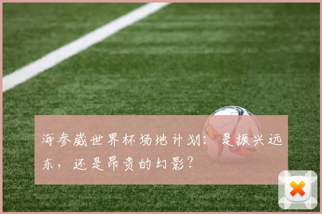 海参崴世界杯场地计划：是振兴远东，还是昂贵的幻影？