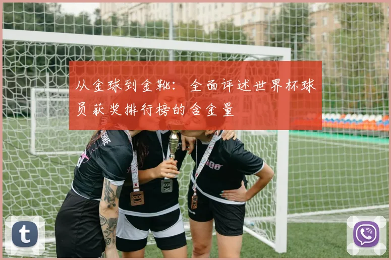 从金球到金靴：全面评述世界杯球员获奖排行榜的含金量
