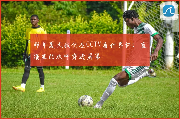 那年夏天我们在CCTV看世界杯：直播里的欢呼穿透屏幕