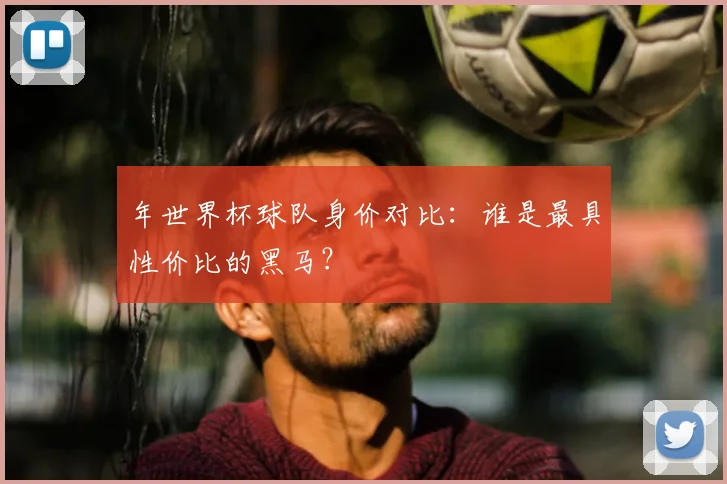 年世界杯球队身价对比：谁是最具性价比的黑马？