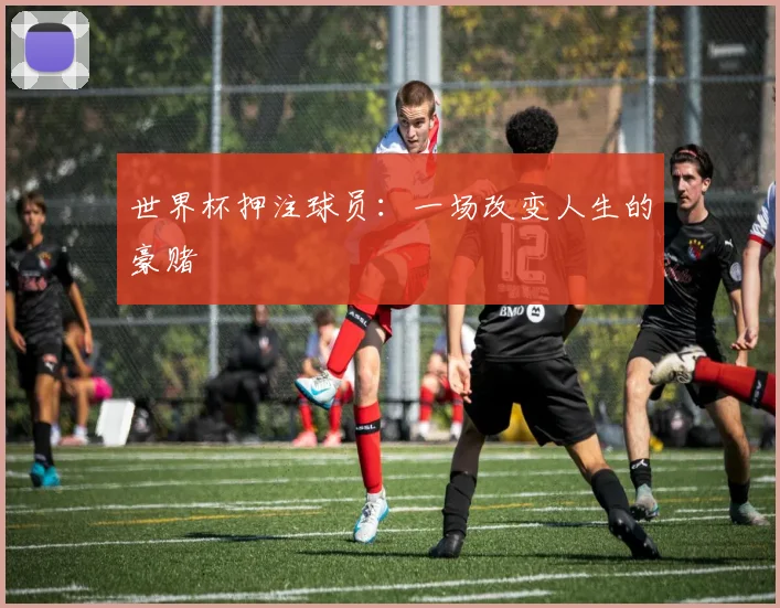 世界杯押注球员：一场改变人生的豪赌