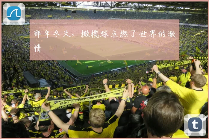 那年冬天，橄榄球点燃了世界的激情