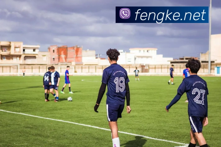 九游网页版入口平台生态图